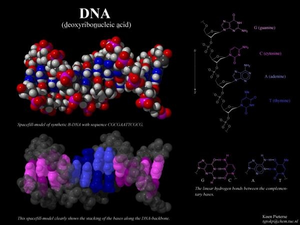 Метод записи битов в ДНК